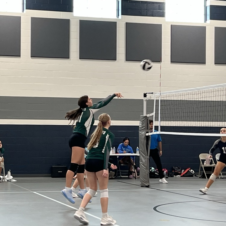 vb