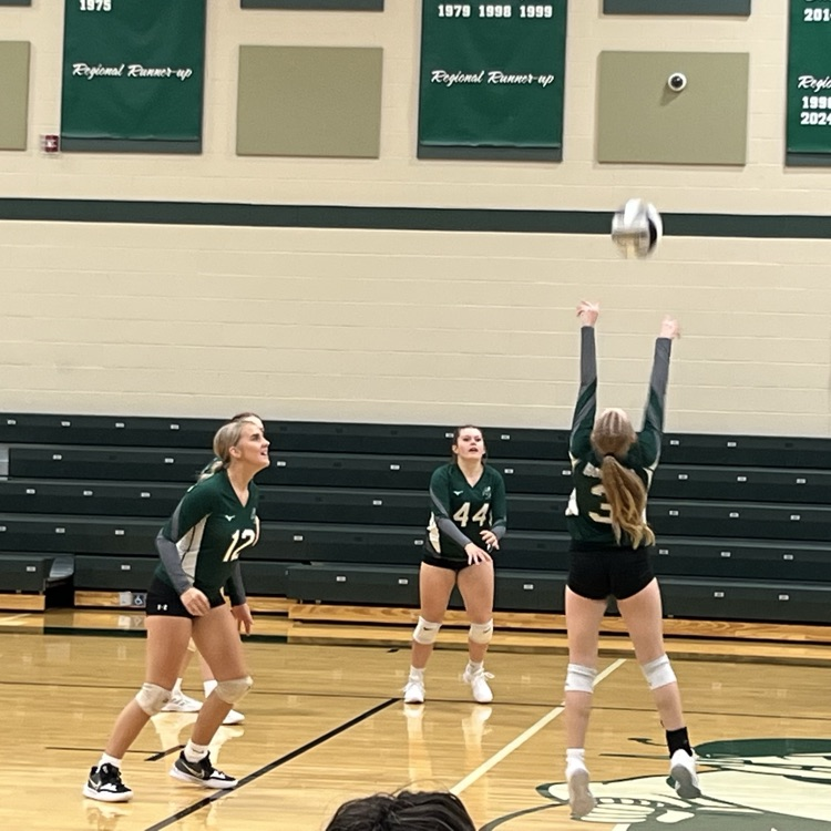 vb