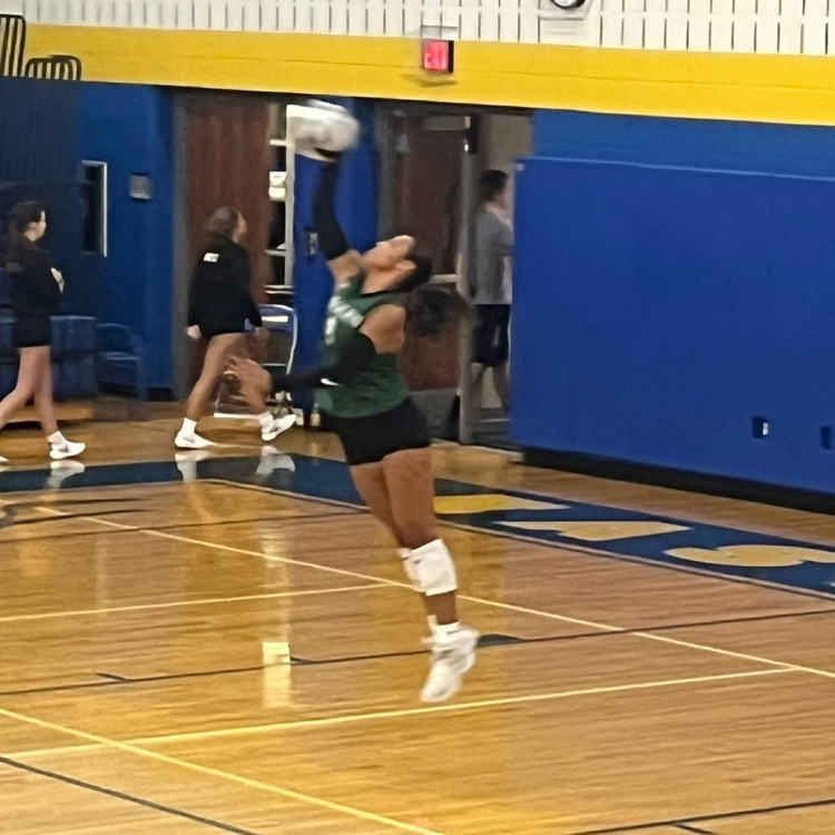 vb
