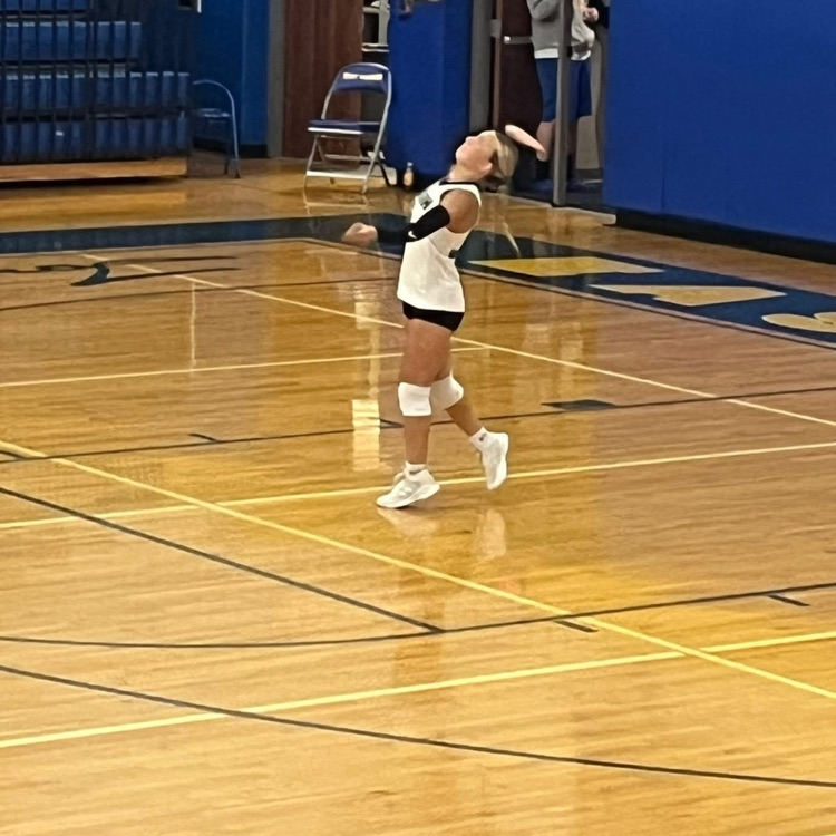 vb