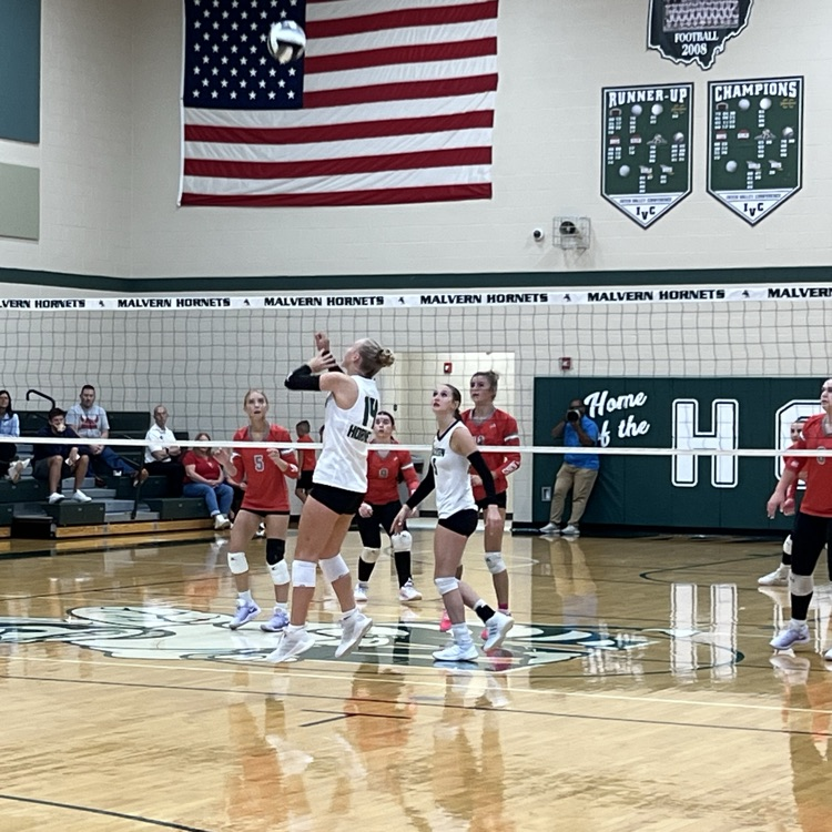 vb