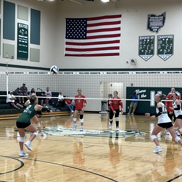 vb