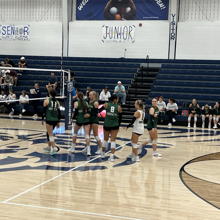 vb
