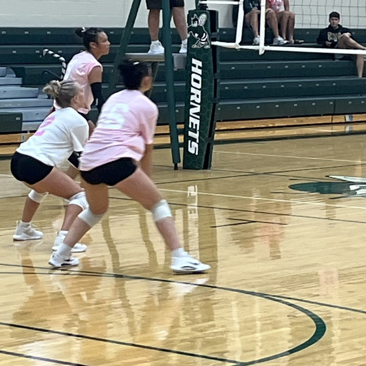 vb