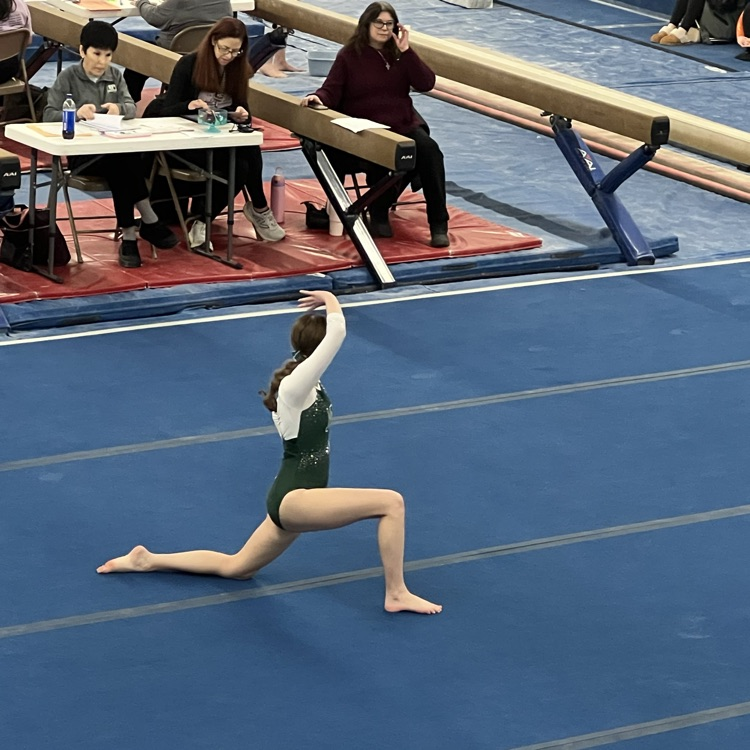 gymnastics 