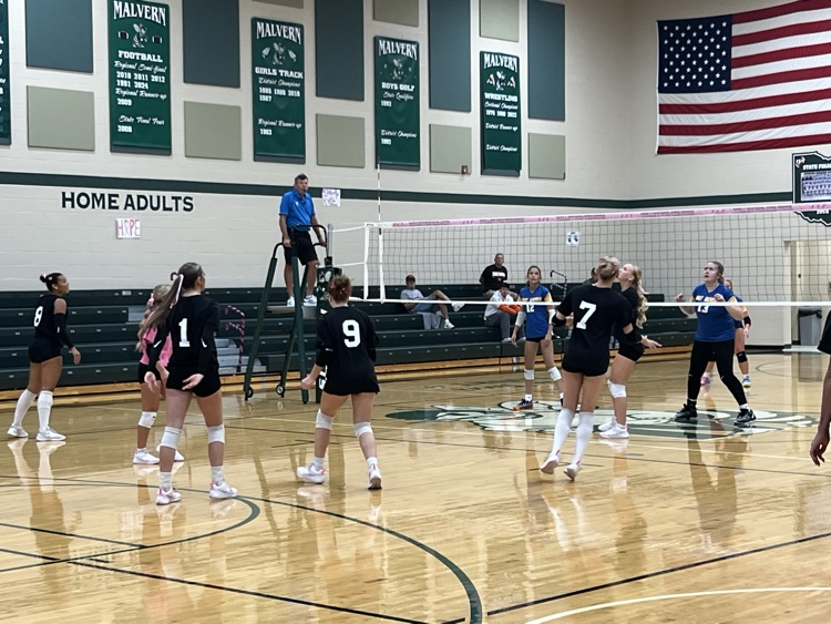 vb