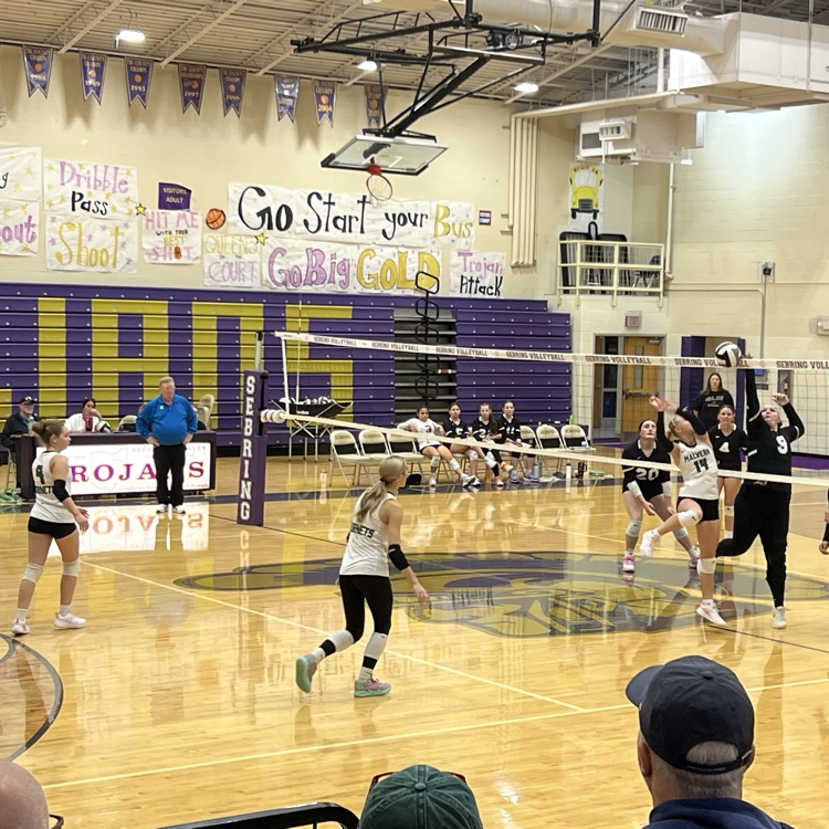 volleyball 