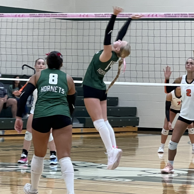 volleyball