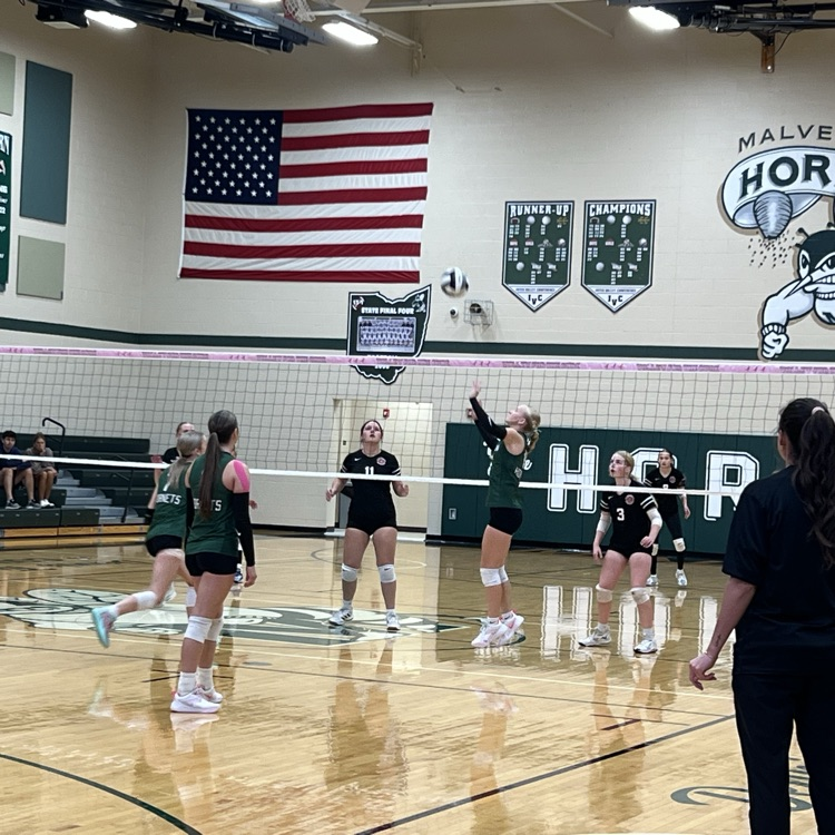 volleyball districts