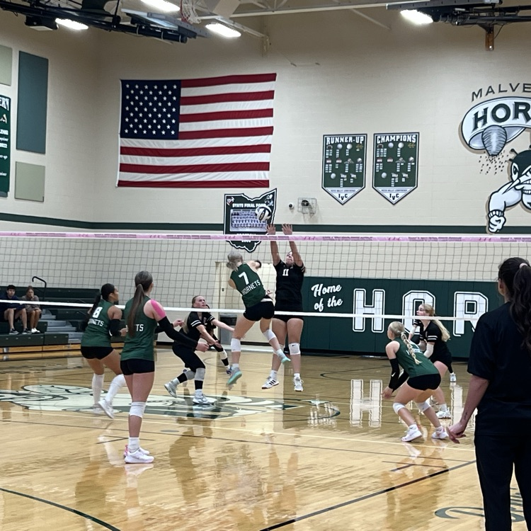 volleyball districts