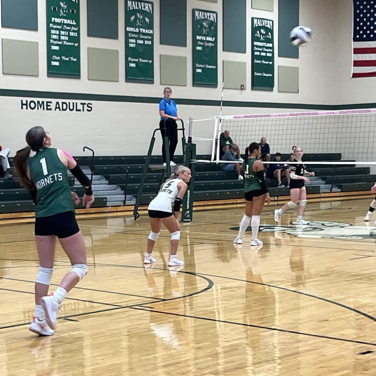 volleyball districts