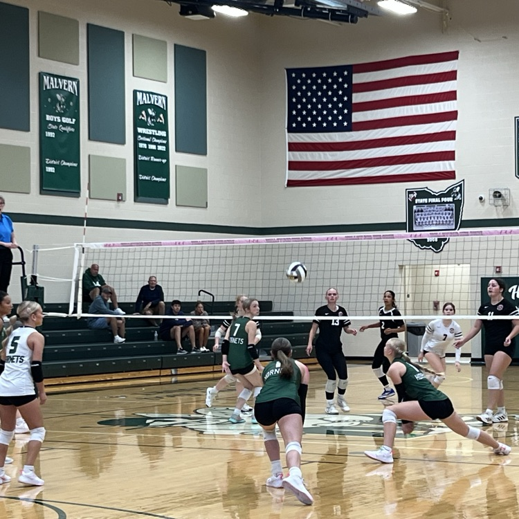volleyball districts