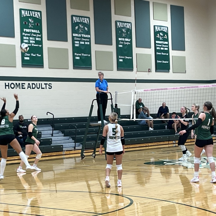 volleyball districts