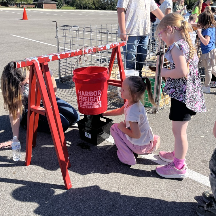 milking stations