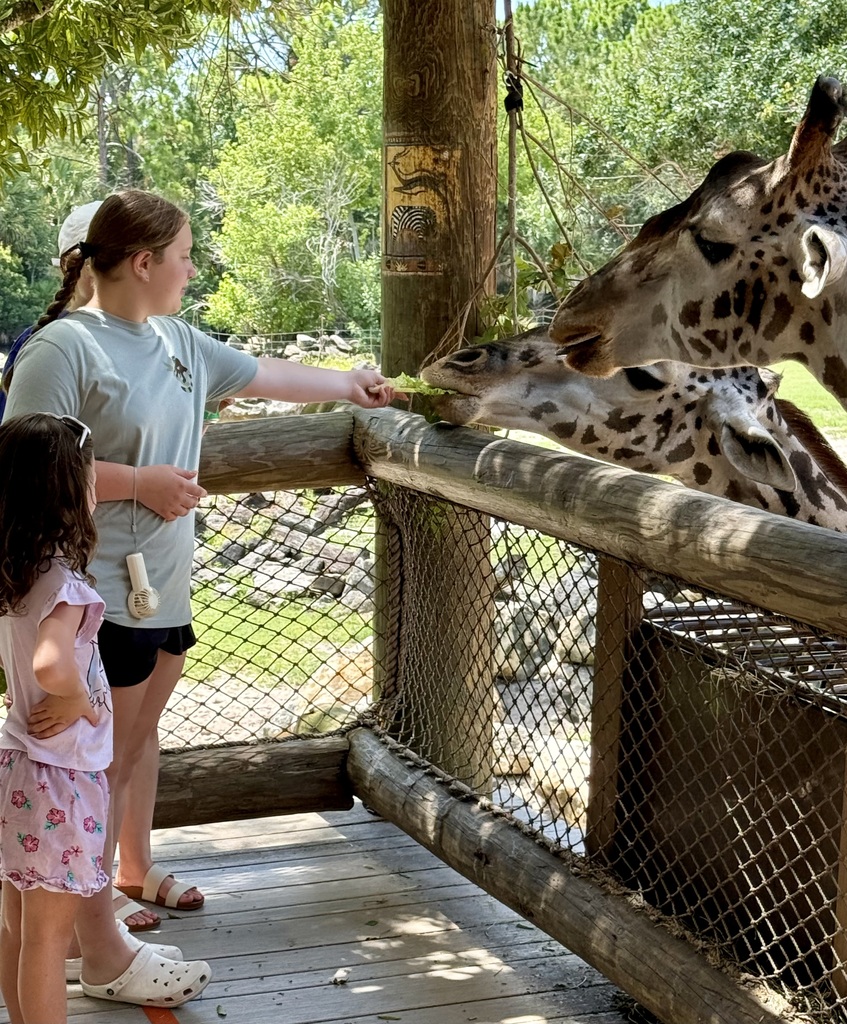 Giraffe