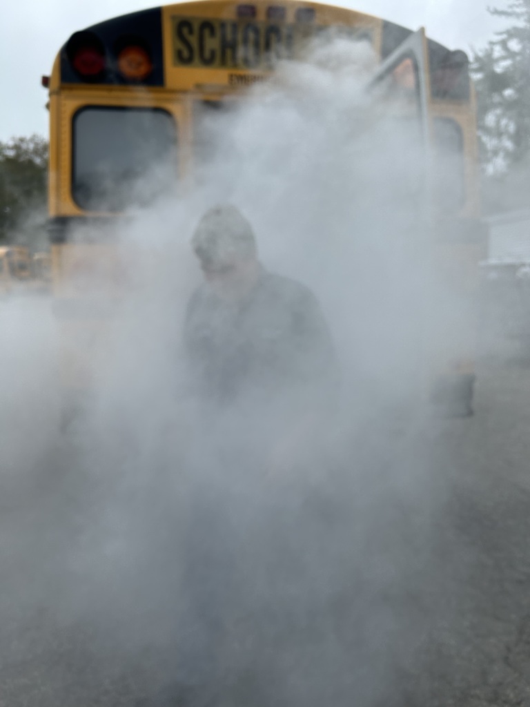 Bus Driver in Smoke