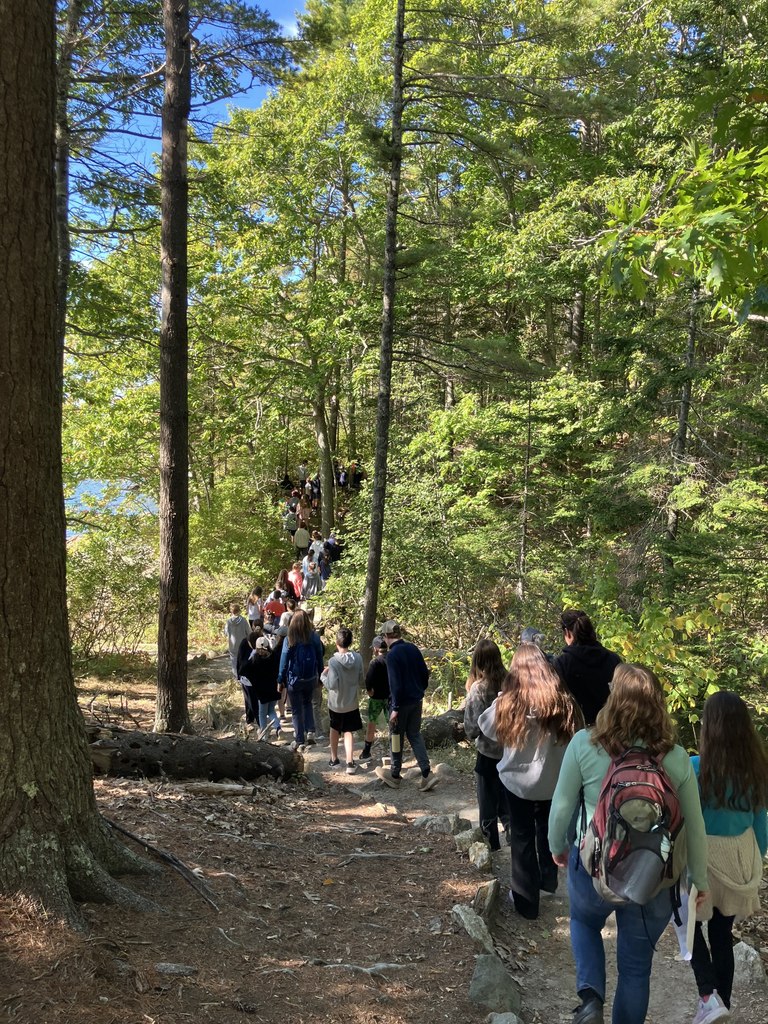 Group of students walking through woods.