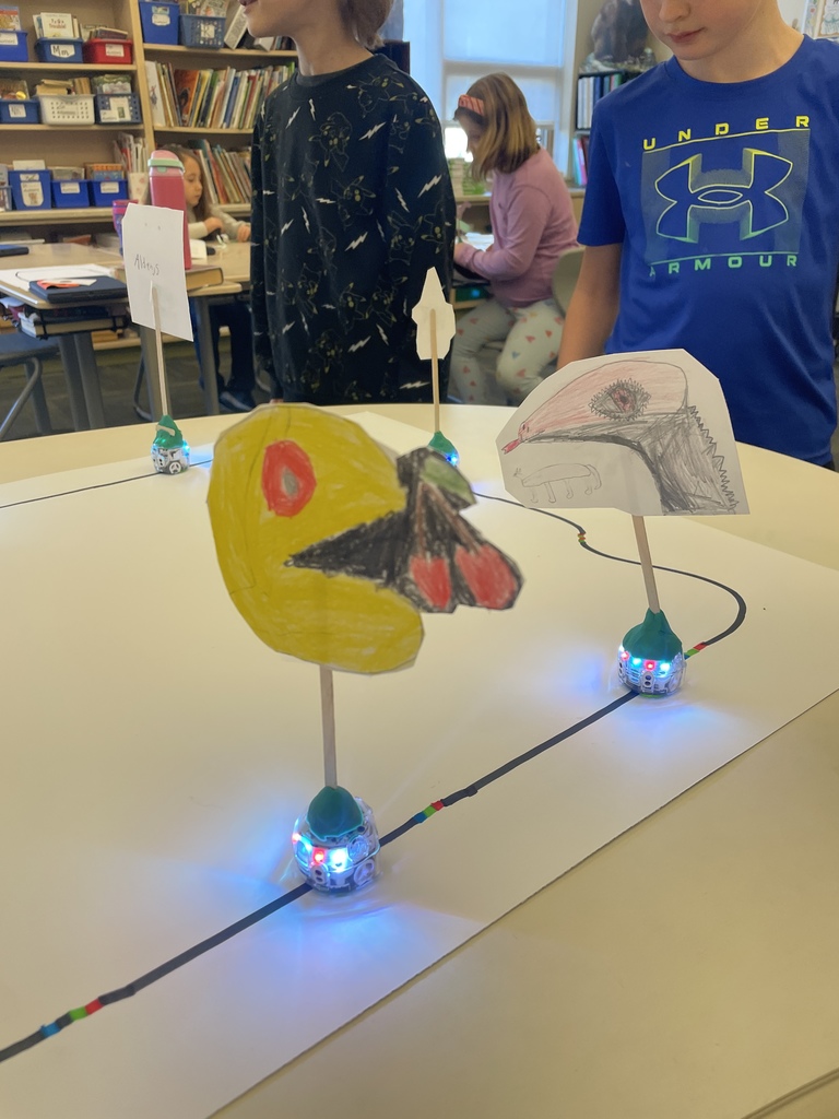 4 Ozobots with drawings on them  as floats
