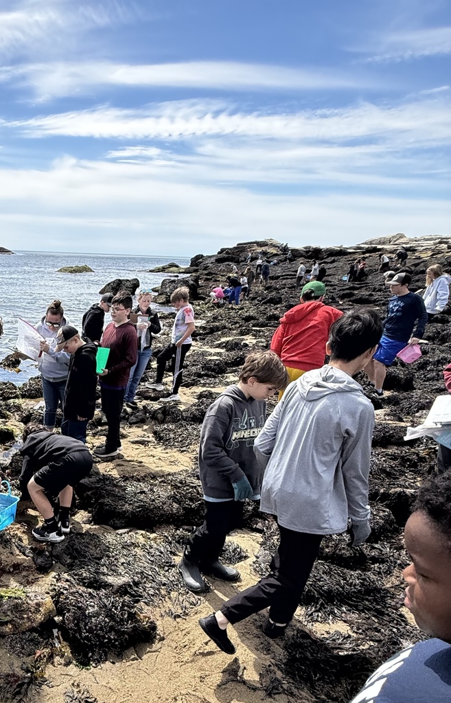 Group of students on the shore line looking at tidal pools.