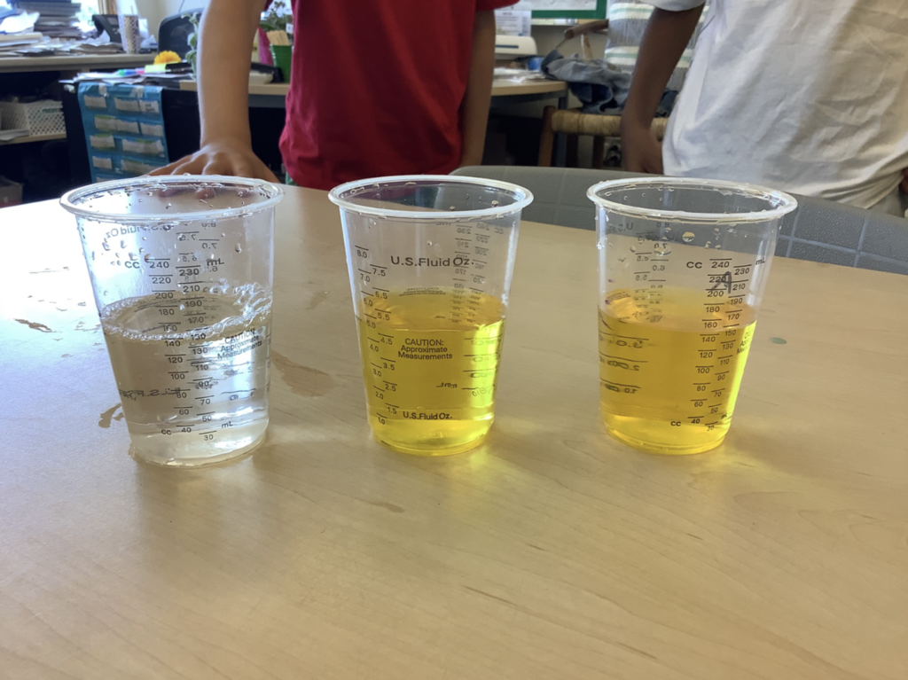 3 cups one with clear liquid and two with yellow liquid