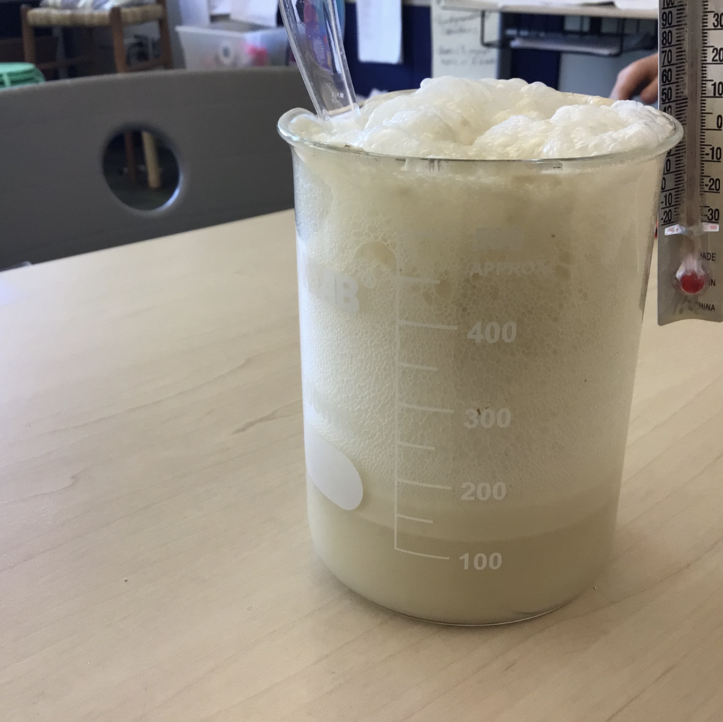 frothy substance in a science beaker