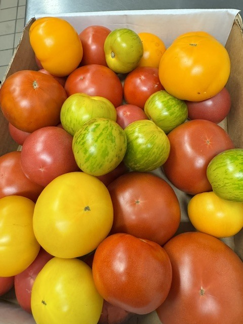 Maine Harvest Lunch Week