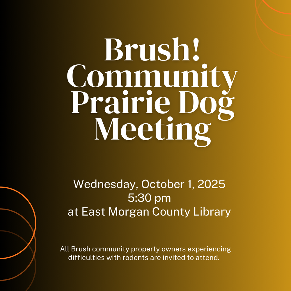 Brush! Community Prairie Dog Meeting Wednesday, October 1, 2025 5:30 pm at East Morgan County Library All Brush community property owners experiencing difficulties with rodents are invited to attend.