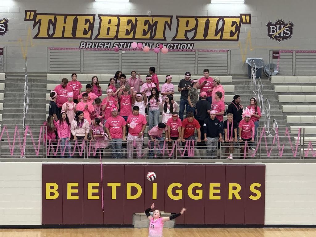 The Beet Pile Beetdiggers