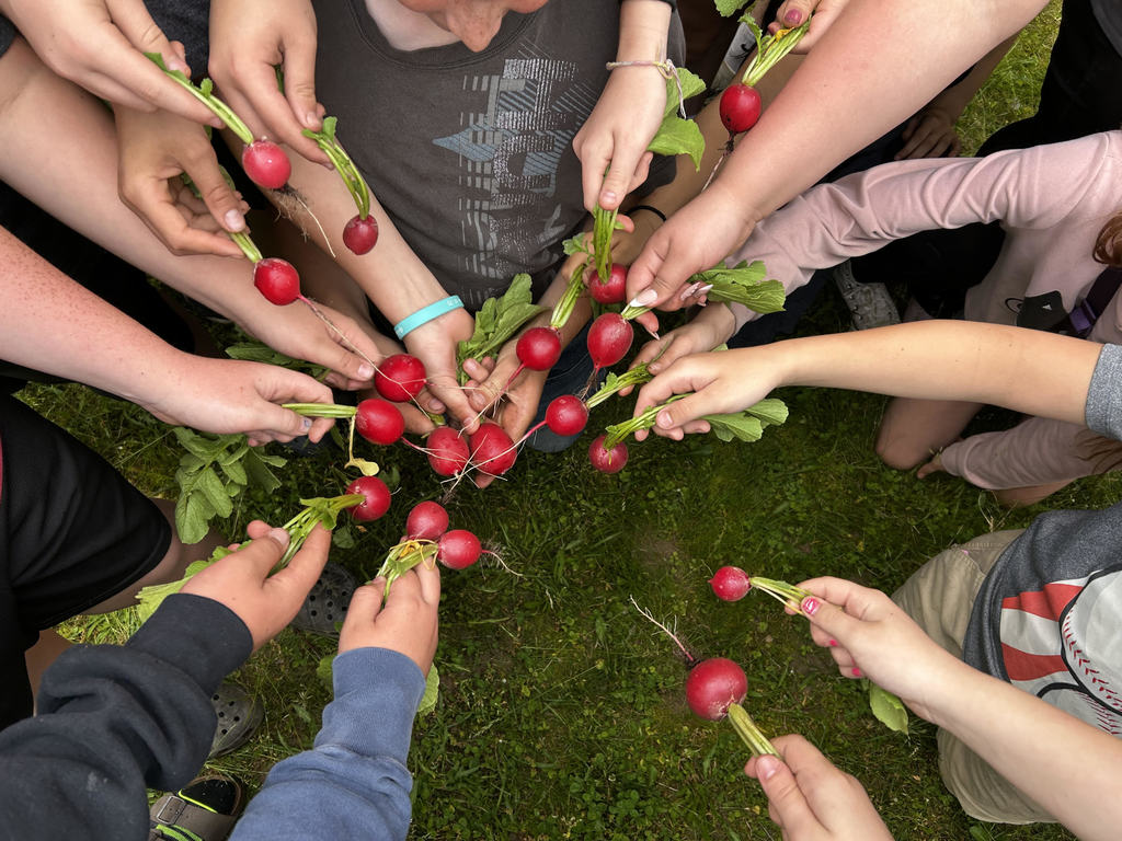 Kids holding radish they harvested
