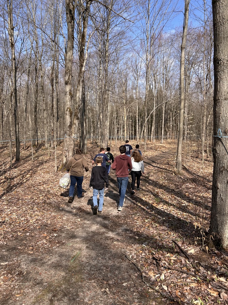 Students walking on a trail in the woods