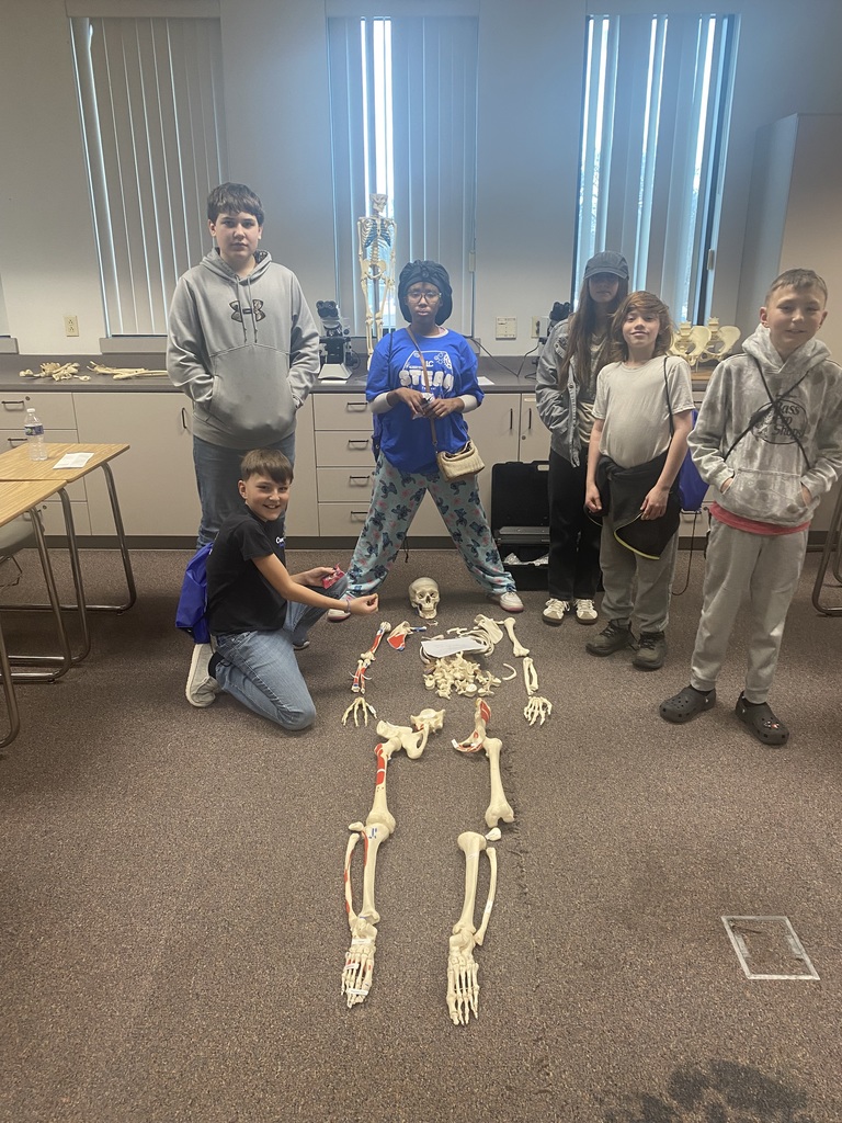 Brussels Junior High students - STEM 