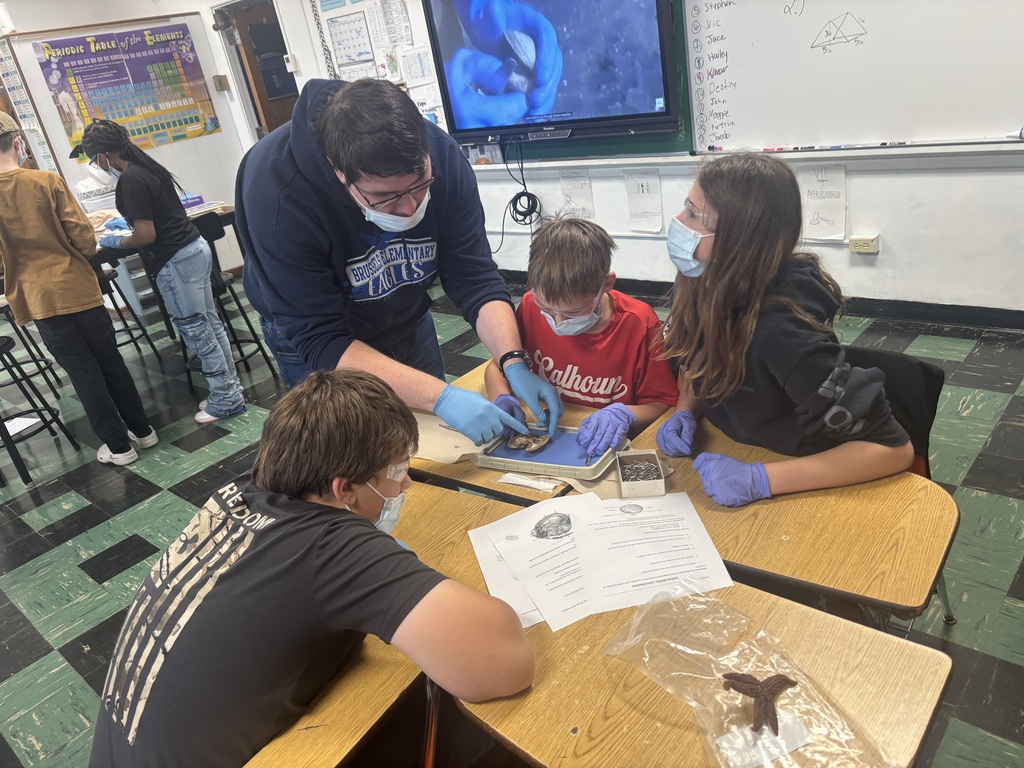 Students - Junior High Science Class