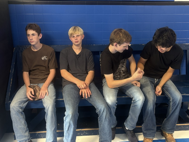 sophomores 