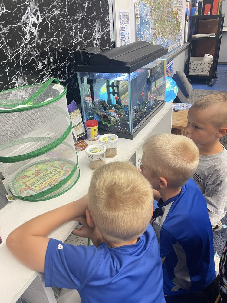 children in science