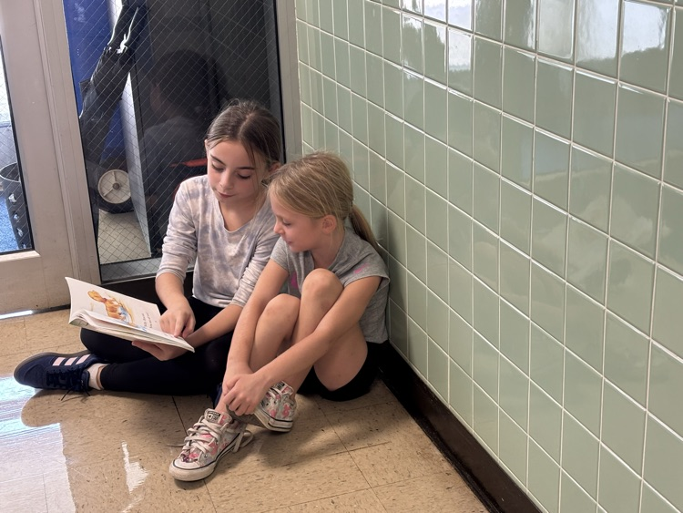 buddy reading