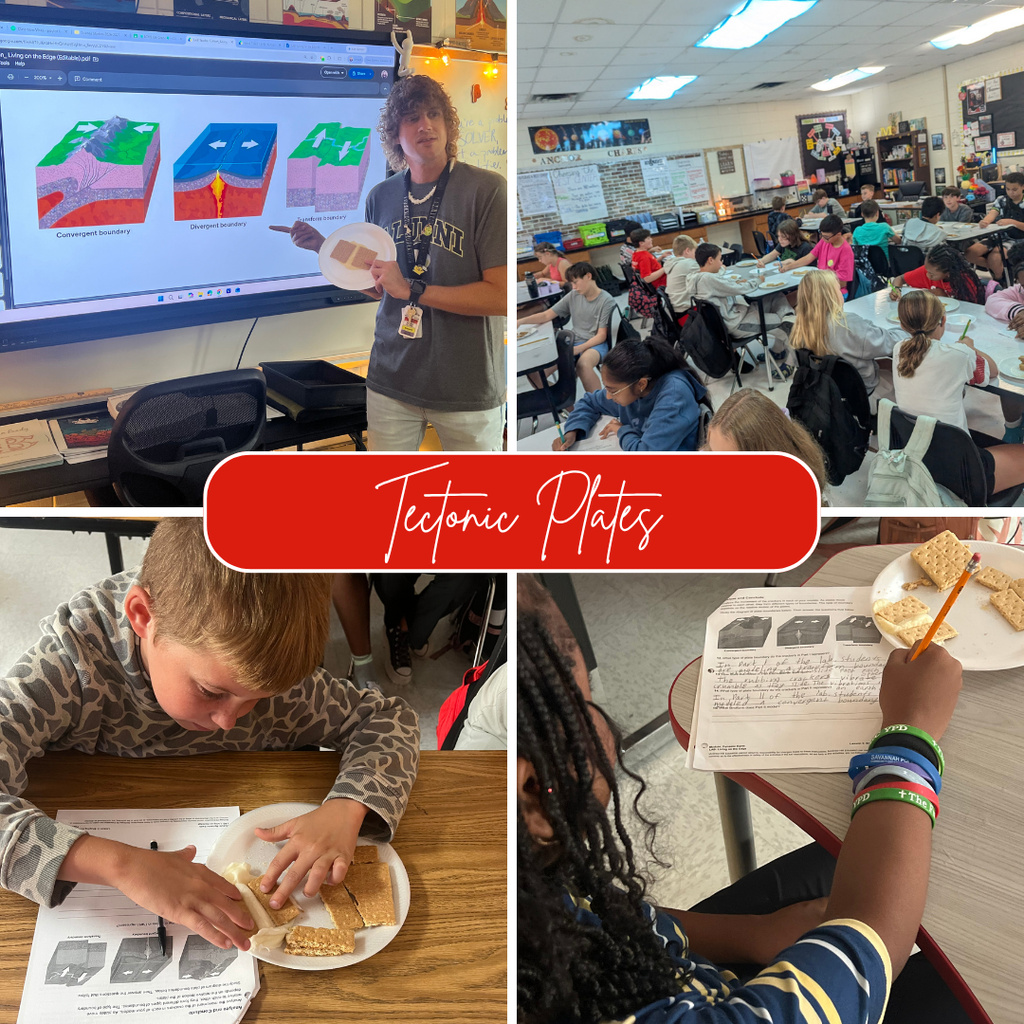 6th science