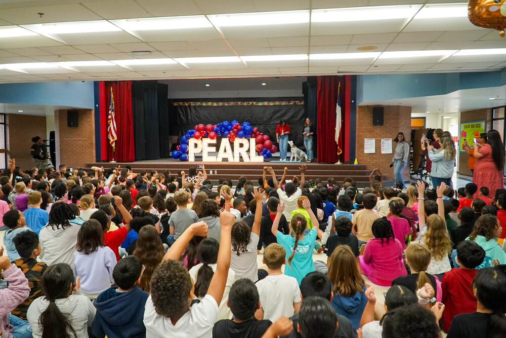 Pearl, The Comfort Dog at Branch Elementary
