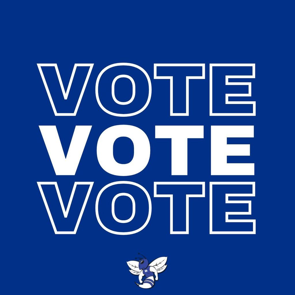vote