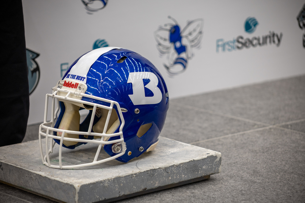 helmet