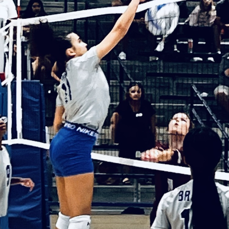 vb