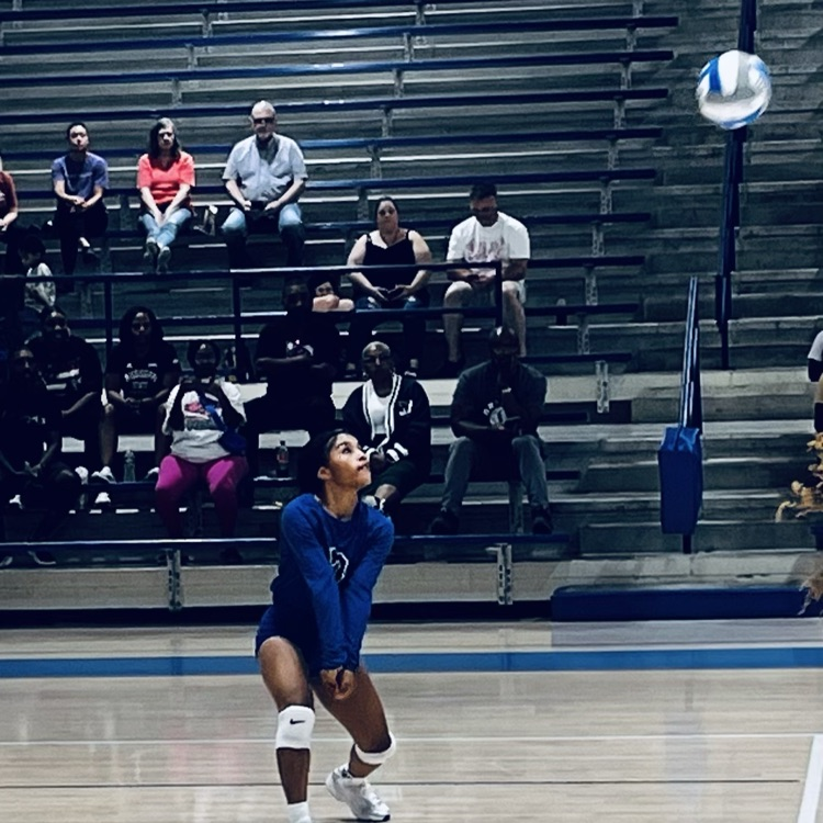 vb