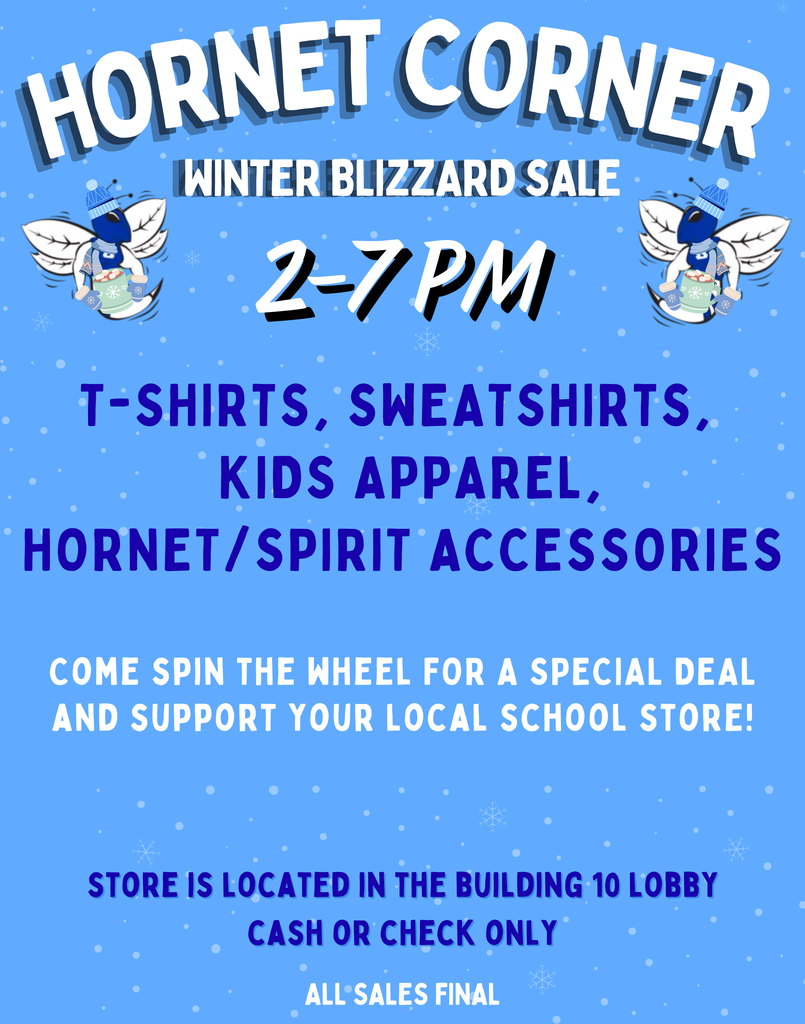 Hornet corner winter blizzard sale