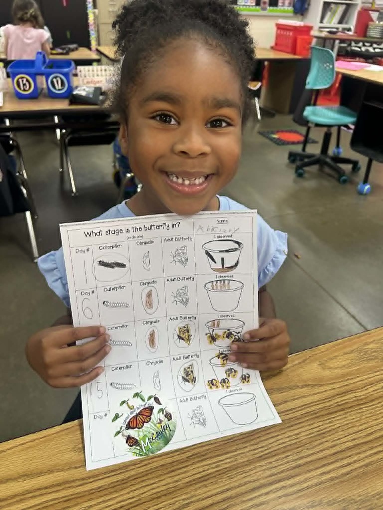 Kinder Butterflies