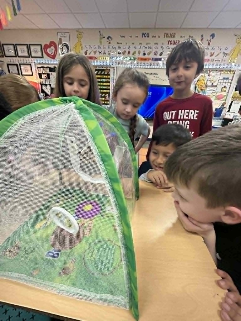 Kinder Butterflies