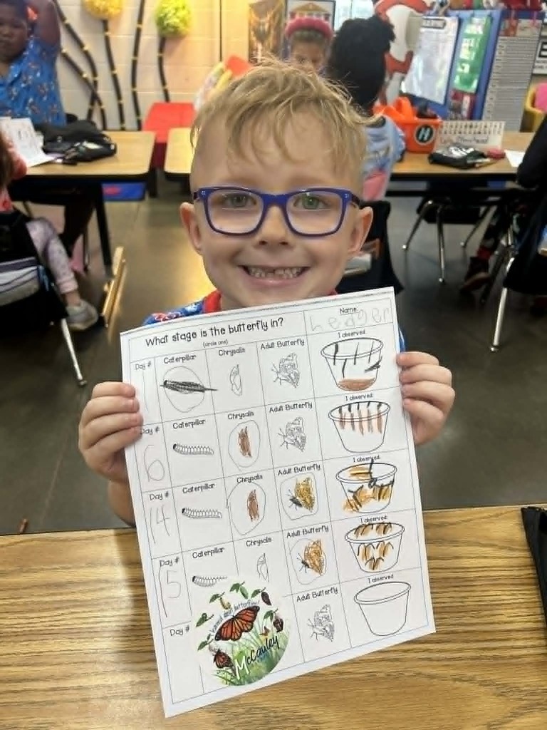 Kinder Butterflies