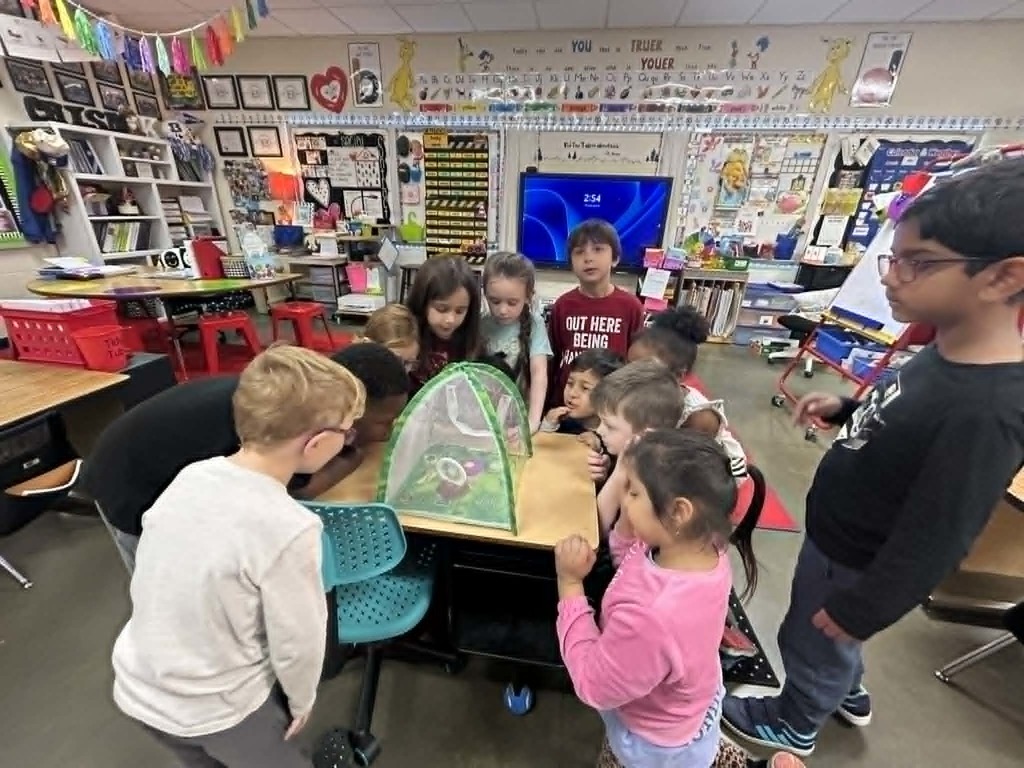 Kinder Butterflies