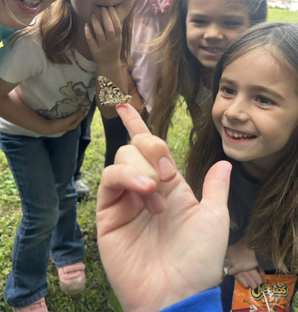 Kinder Butterflies