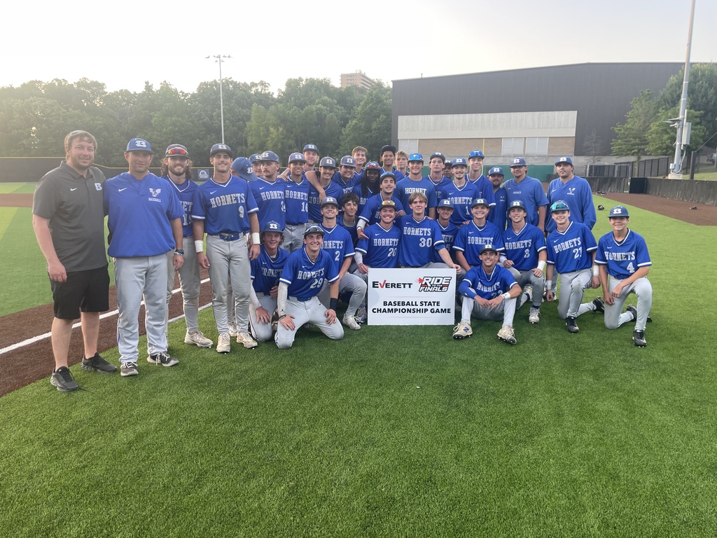 Hornet Baseball Team