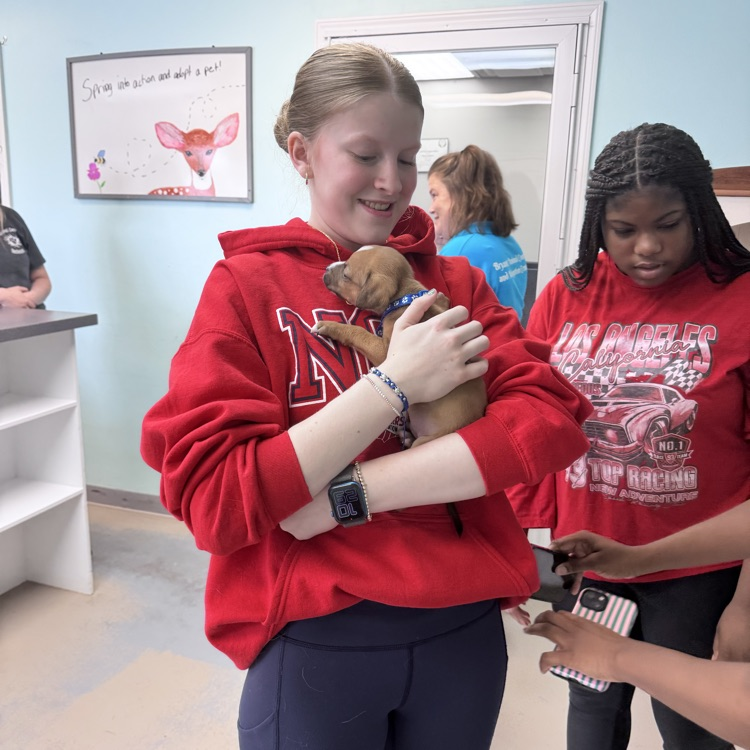 animal shelter