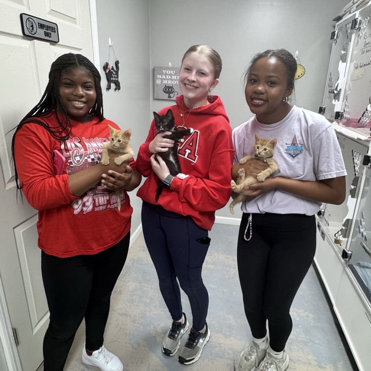 animal shelter